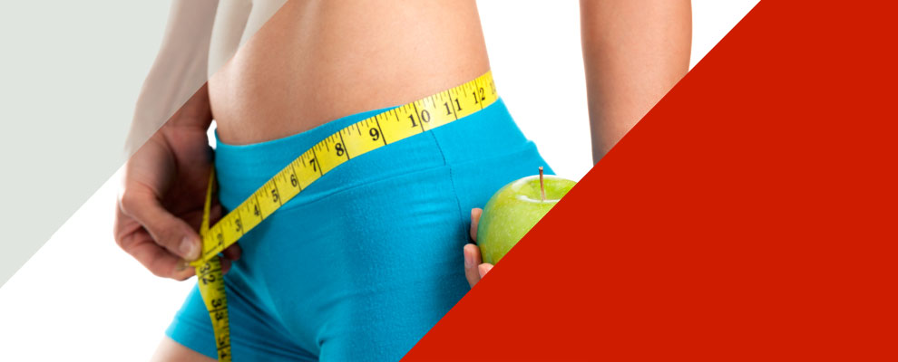 Nutrition Nutrition